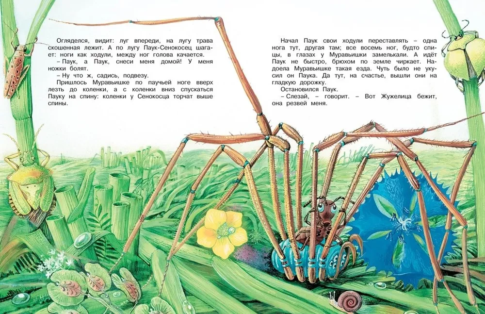 Kaip skruzdėliukas skubėjo namo