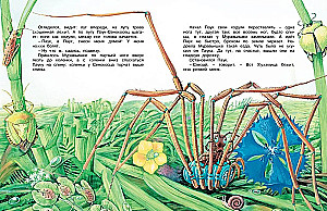 How the Ant is in a Hurry to Get Home