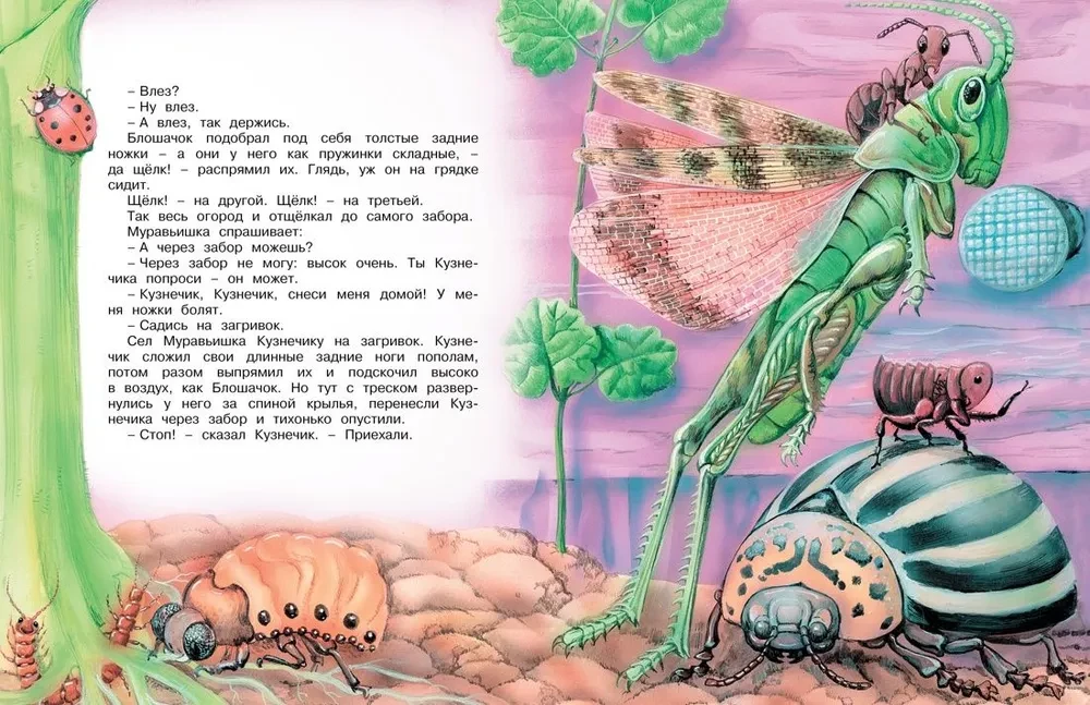 Kaip skruzdėliukas skubėjo namo