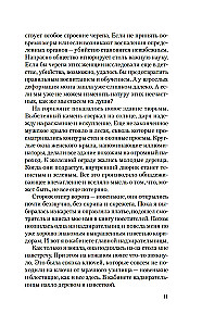 Korsete
