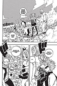 Fairy Tail. Tom 5