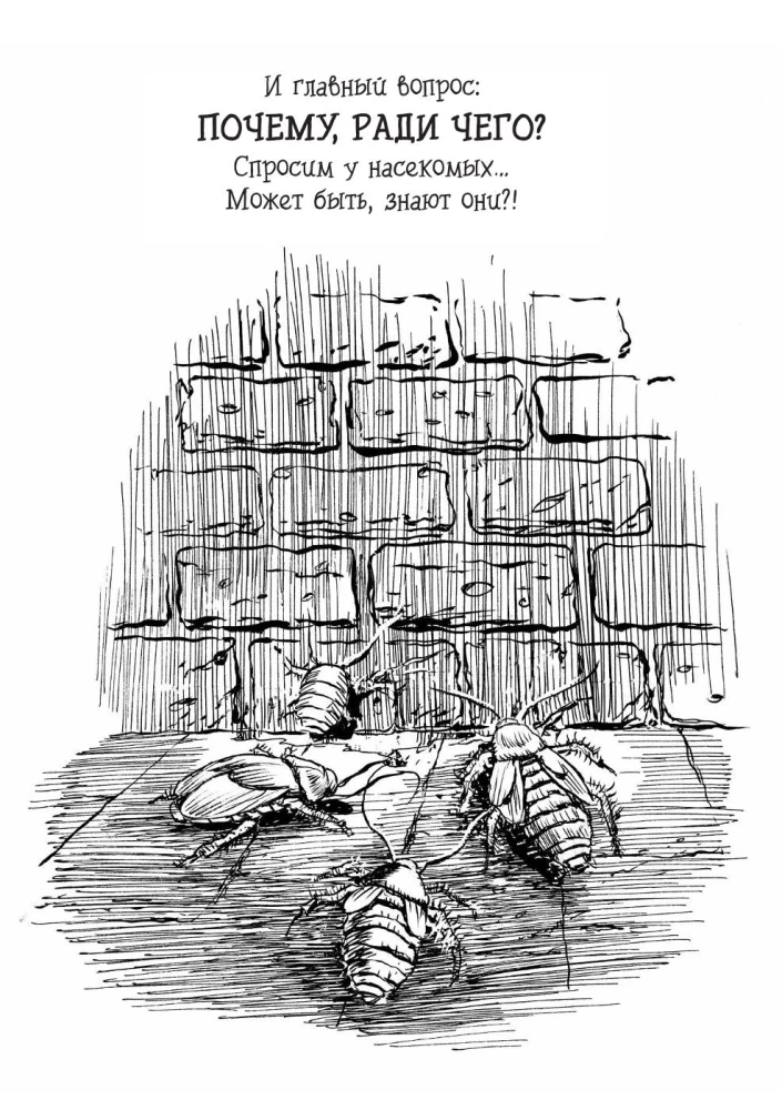 Siła życiowa