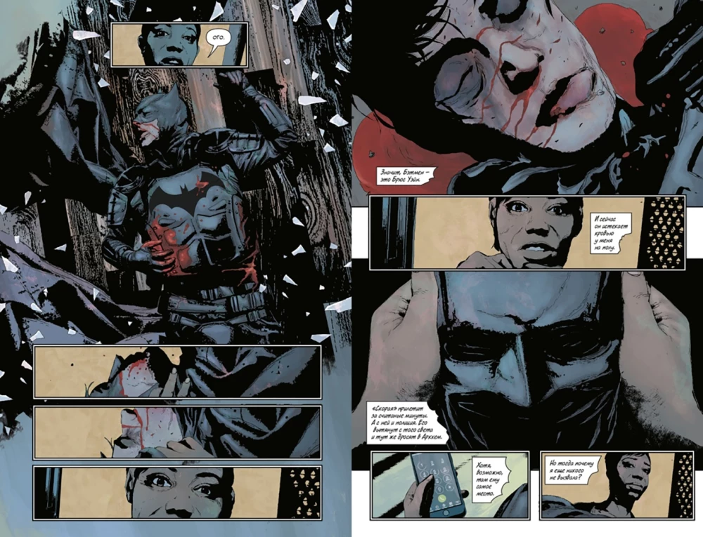 Batman. Der Selbsternannte