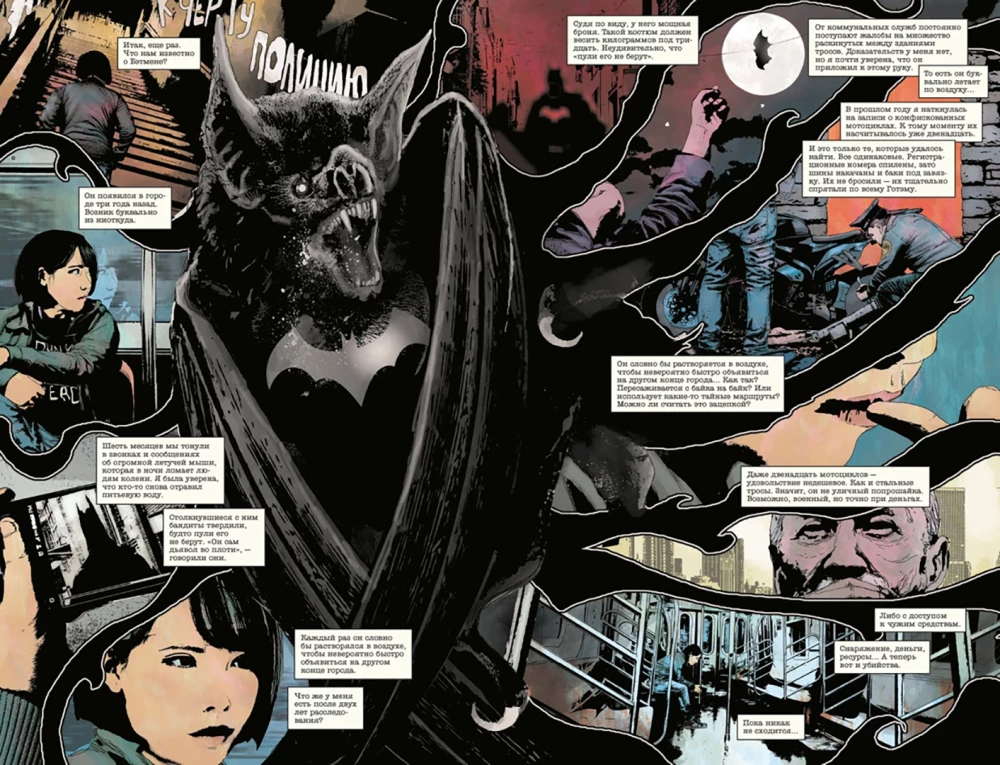 Batman. Der Selbsternannte