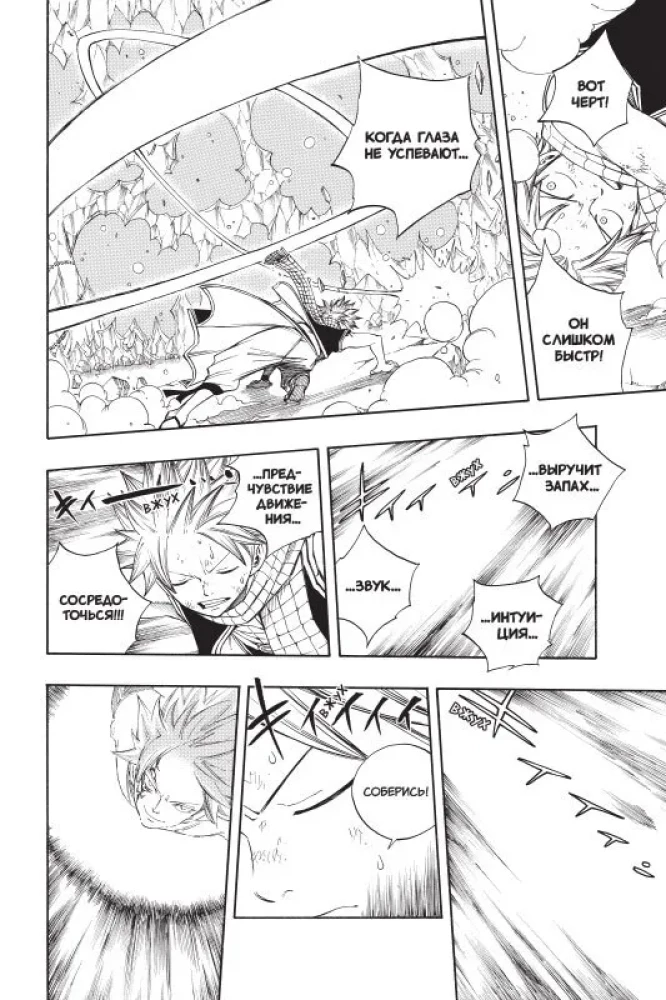 Fairy Tail. Volume 12