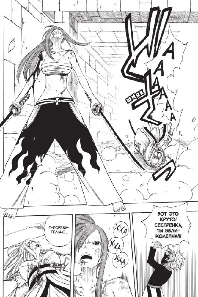 Fairy Tail. Volume 12