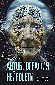 Autobiography of a Neural Network
