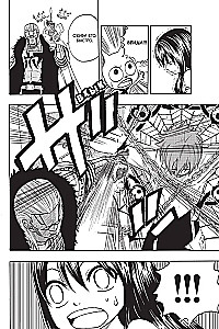 Fairy Tail. Tom 17