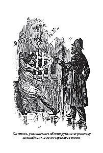 Studium w purpurowych odcieniach