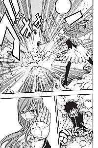 Fairy Tail. Tom 19