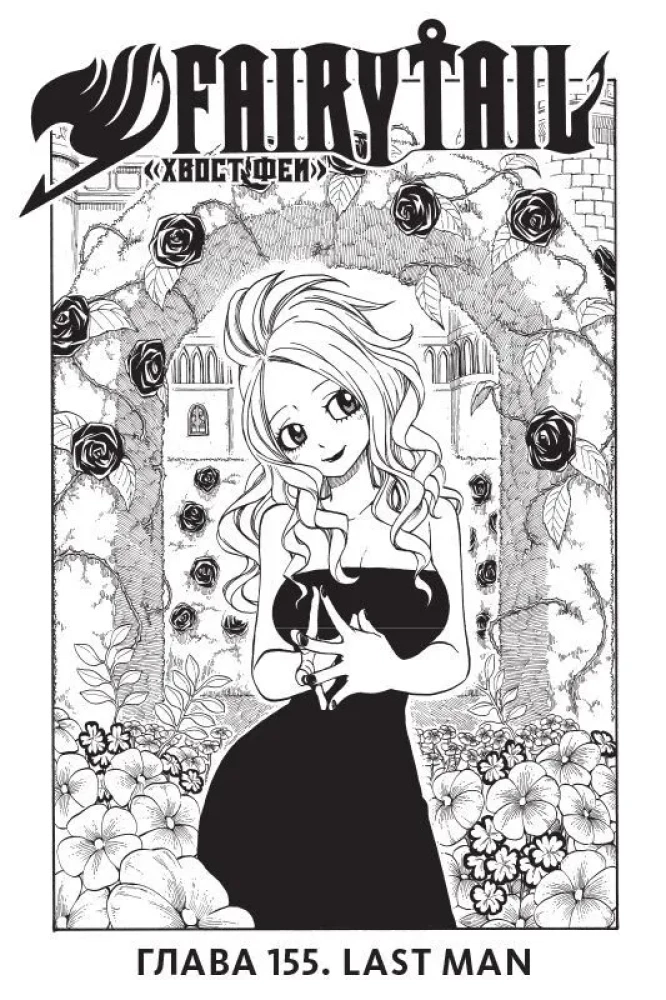 Fairy Tail. Tom 19