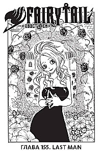 Fairy Tail. Tom 19
