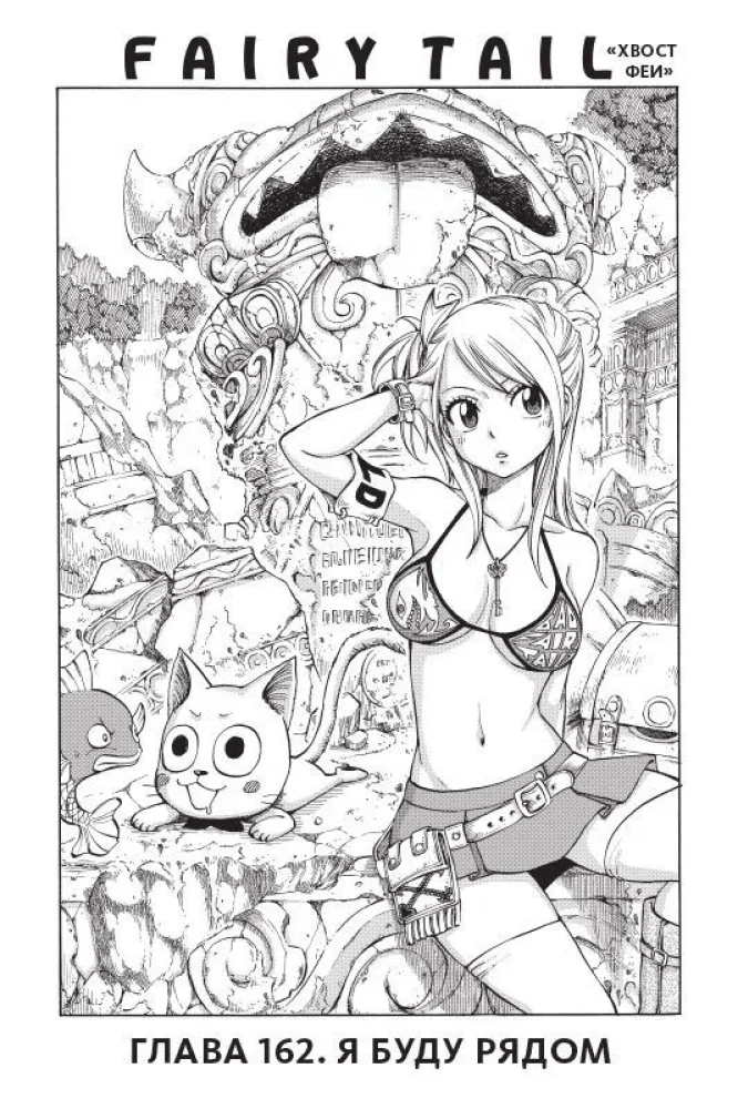 Fairy Tail. Tom 20
