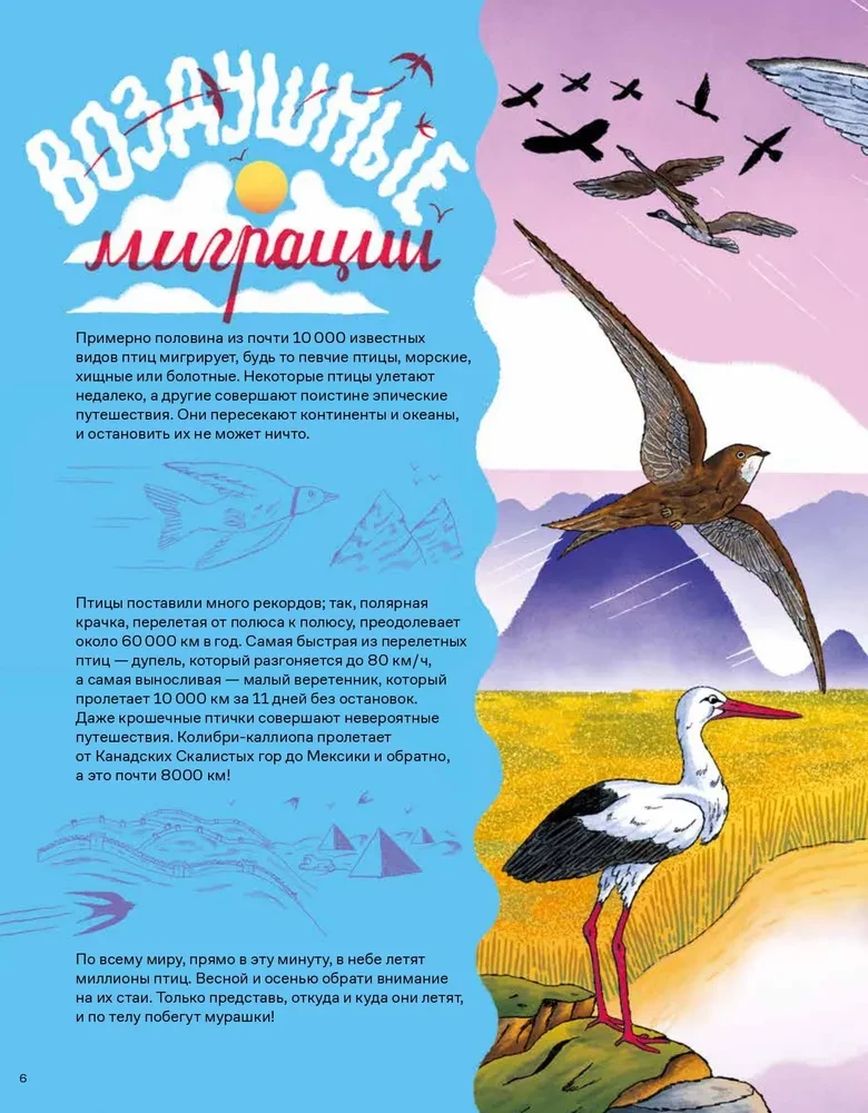Incredible Journeys of Animals. Navigation and Migration by Air, Land, and Sea