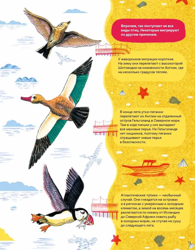 Incredible Journeys of Animals. Navigation and Migration by Air, Land, and Sea