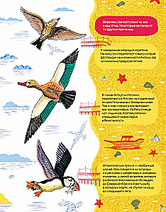 Incredible Journeys of Animals. Navigation and Migration by Air, Land, and Sea