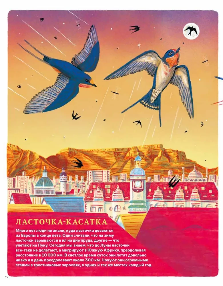 Incredible Journeys of Animals. Navigation and Migration by Air, Land, and Sea