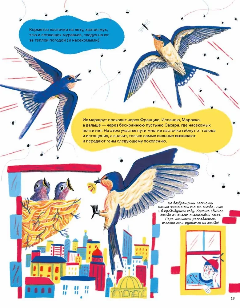 Incredible Journeys of Animals. Navigation and Migration by Air, Land, and Sea
