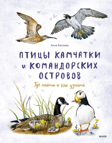 Birds of Kamchatka and the Commander Islands. Where to find and how to recognize