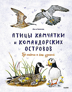 Birds of Kamchatka and the Commander Islands. Where to find and how to recognize