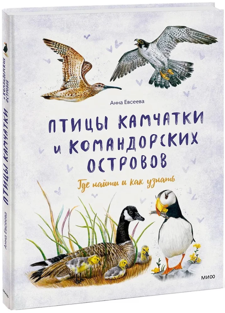 Birds of Kamchatka and the Commander Islands. Where to find and how to recognize