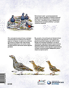 Birds of Kamchatka and the Commander Islands. Where to find and how to recognize