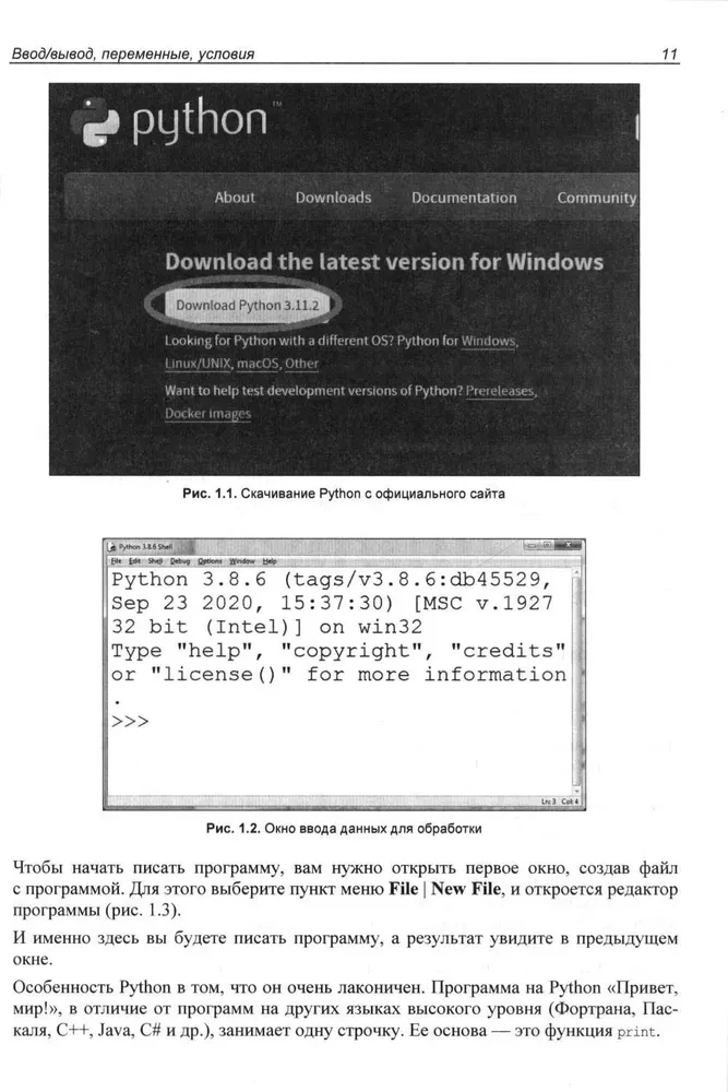 Dla początkujących. Python. 12 lekcji dla początkujących