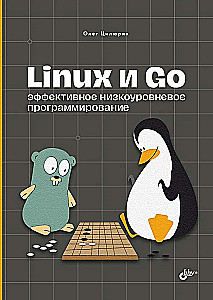 Linux i Go. Efektywne programowanie niskopoziomowe