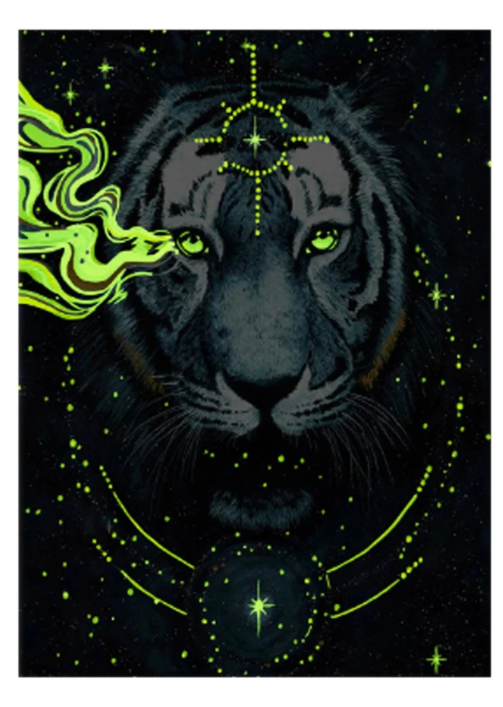 Numbered painting with glowing paint - Tiger on a black background