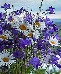 Paint by Numbers - Field Flowers