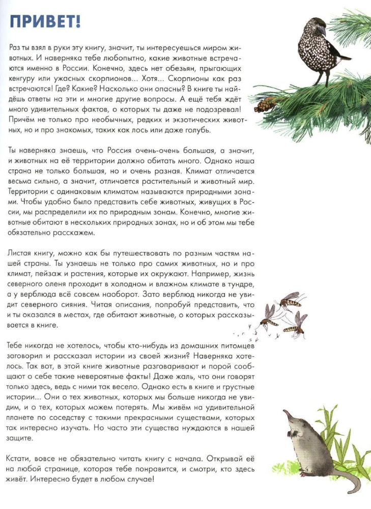 Animals of Russia