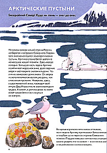 Animals of Russia
