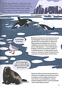 Animals of Russia