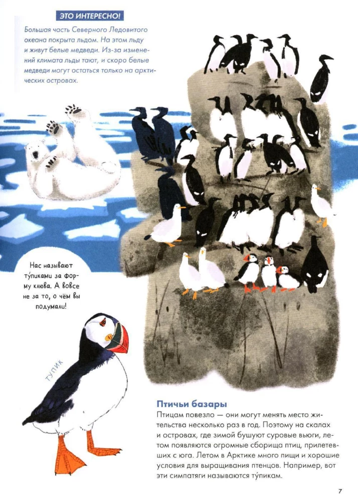 Animals of Russia