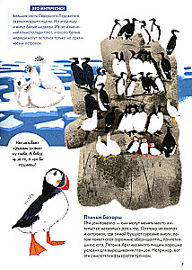 Animals of Russia