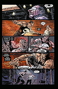Der Punisher MAX. Vollständige Sammlung. Band 1