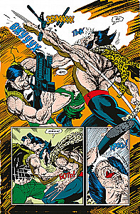 Wolverine kontra Punisher