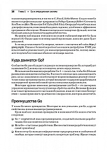 Golang dla profesjonalistów: praca z siecią, wielowątkowość, struktury danych i uczenie maszynowe w Go