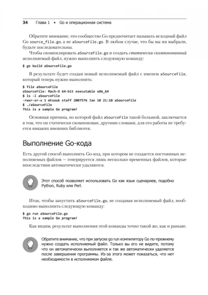 Golang dla profesjonalistów: praca z siecią, wielowątkowość, struktury danych i uczenie maszynowe w Go
