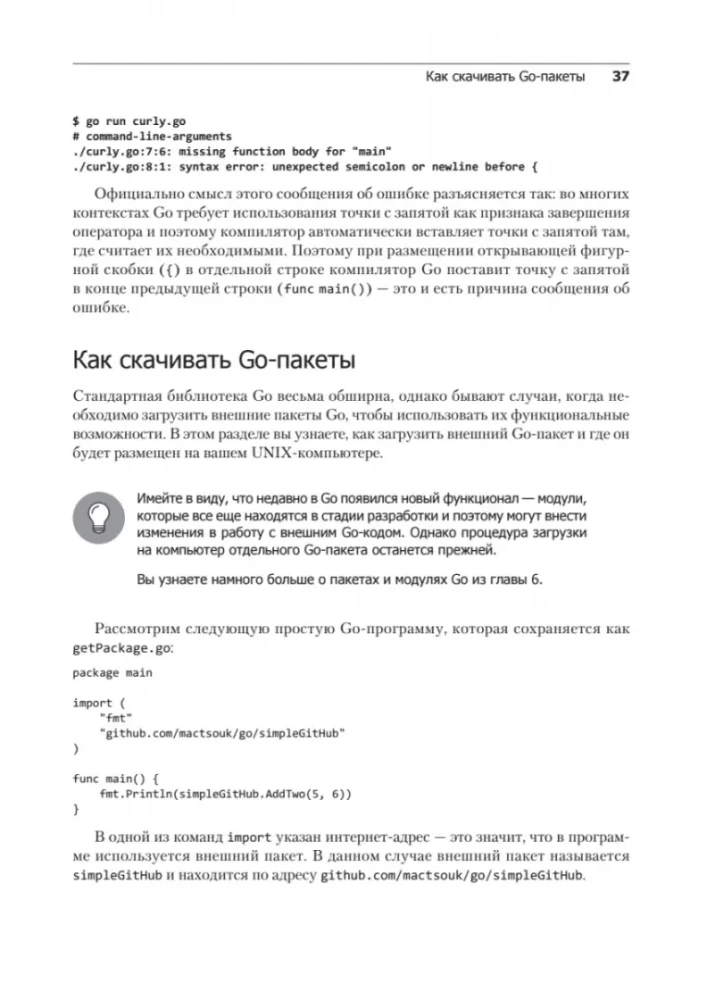 Golang dla profesjonalistów: praca z siecią, wielowątkowość, struktury danych i uczenie maszynowe w Go
