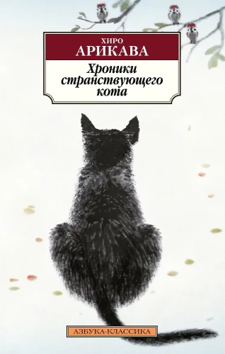 Chronicles of the Wandering Cat