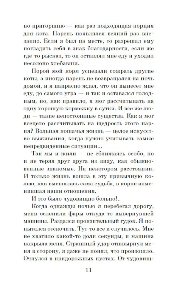Хроники странствующего кота