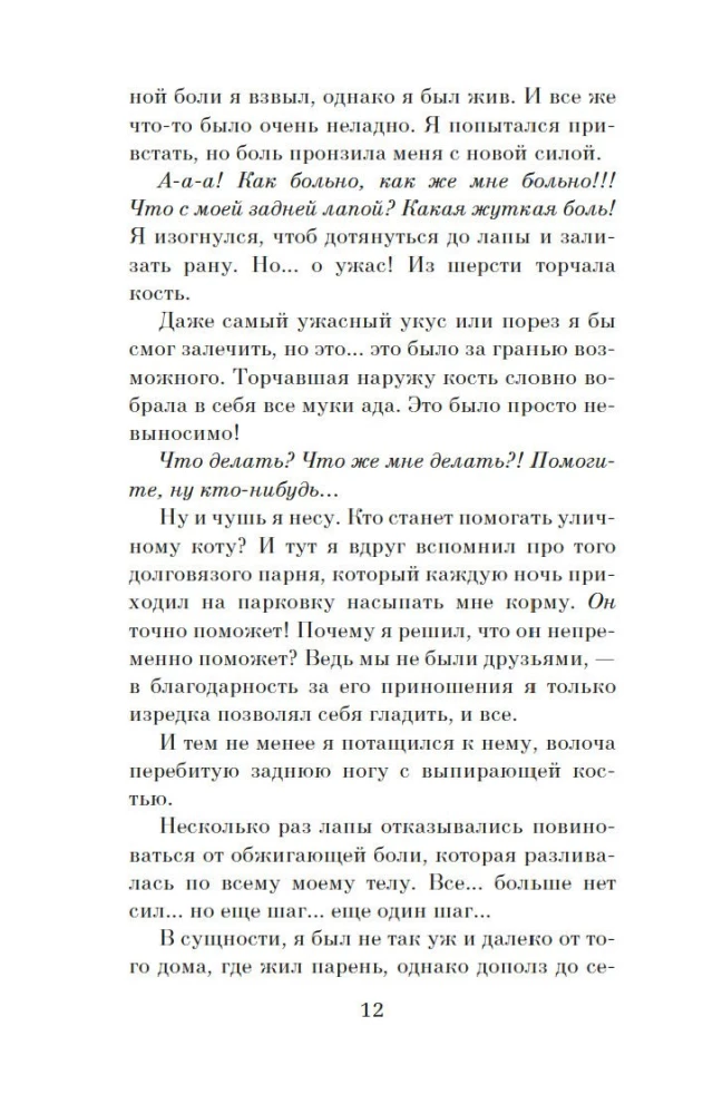 Хроники странствующего кота