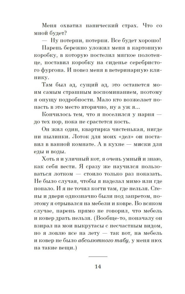 Хроники странствующего кота