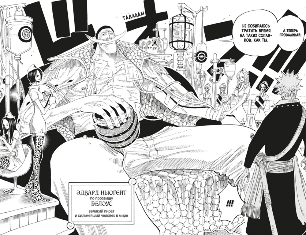 One Piece. Wielka zdobycz. Przygodna na boskiej wyspie