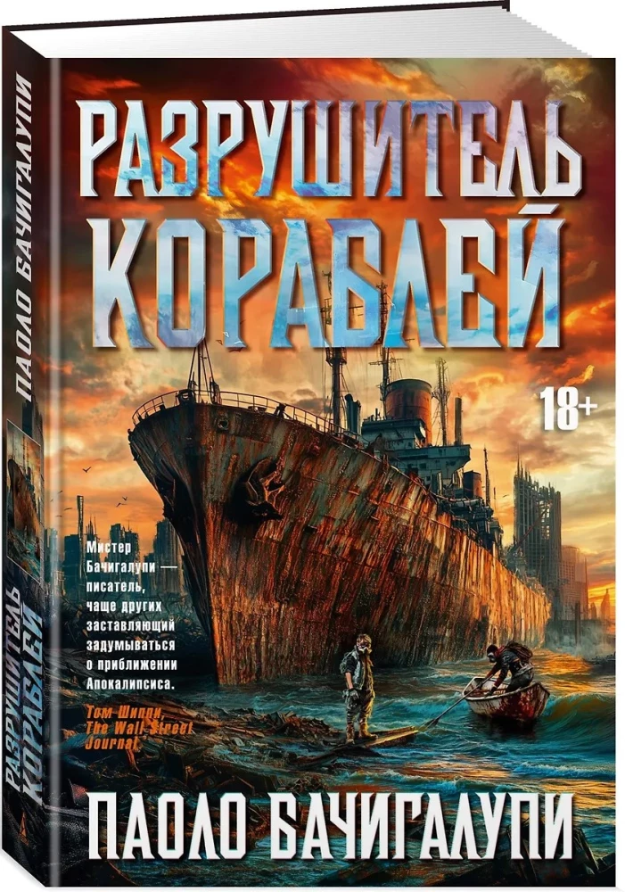 Zniszczyciel statków