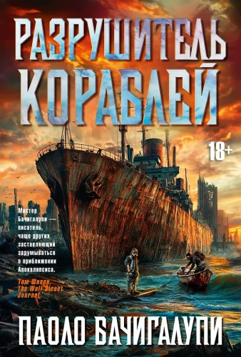 Zniszczyciel statków