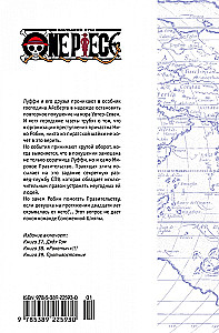 One Piece. Wielka gra. 13. Konfrontacja