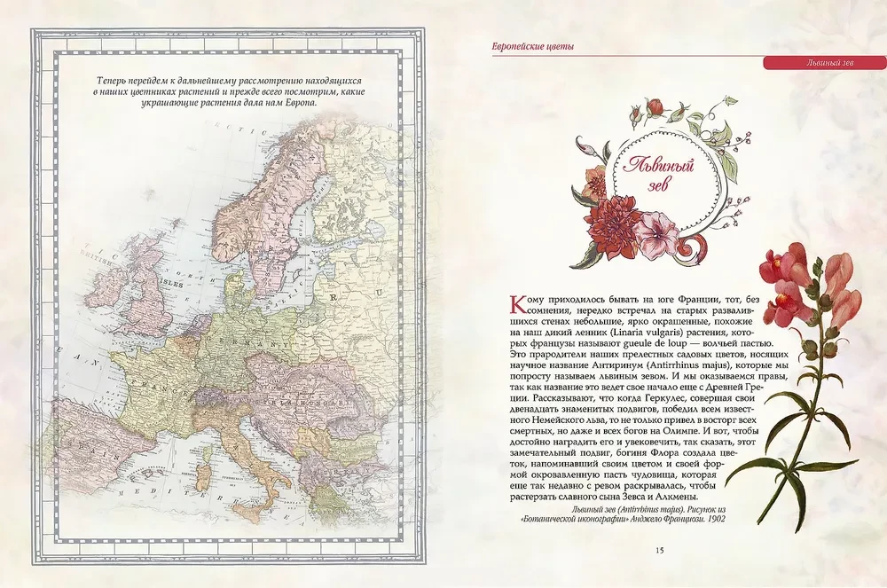 Favorite Flowers. An Illustrated History