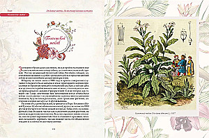 Favorite Flowers. An Illustrated History